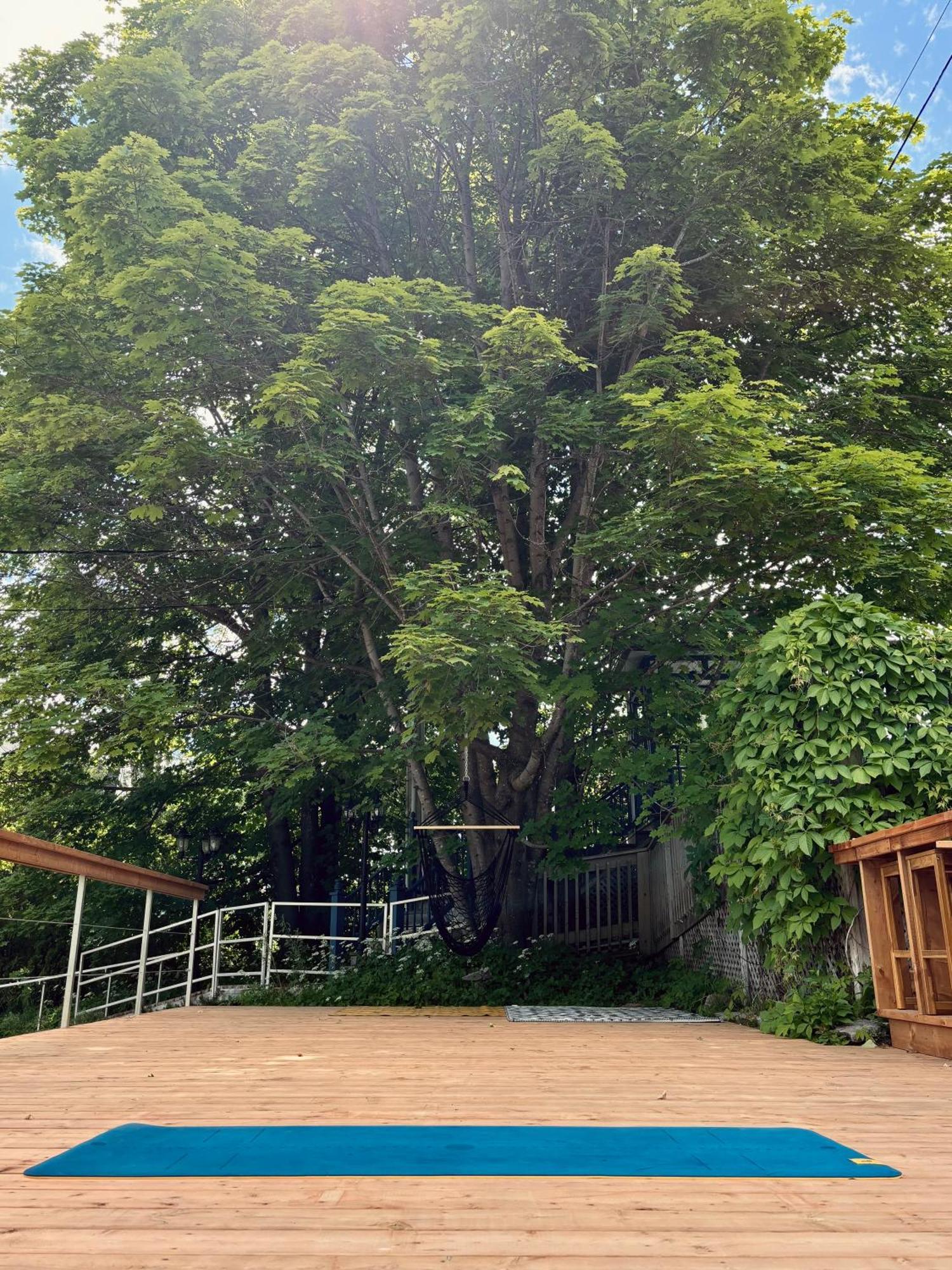 Auberge Sous Les Arbres Gaspé Exteriér fotografie