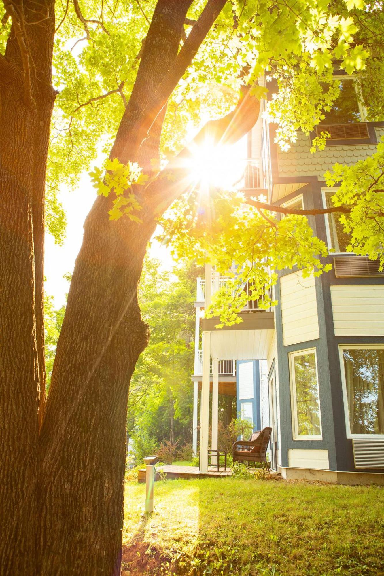 Auberge Sous Les Arbres Gaspé Exteriér fotografie